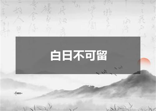 白日不可留
