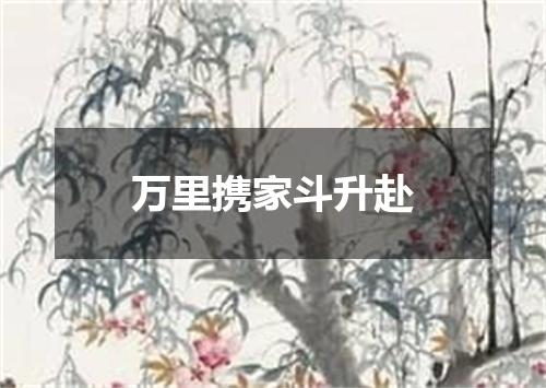 万里携家斗升赴