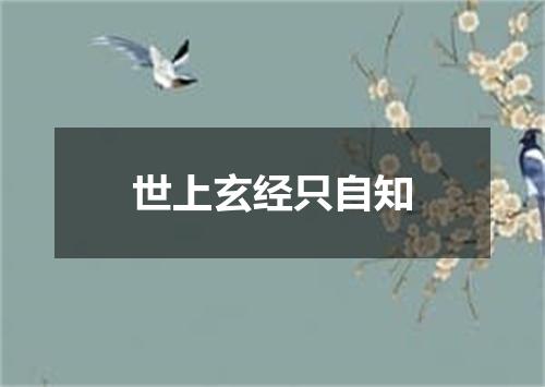 世上玄经只自知