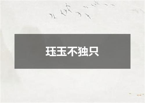 珏玉不独只