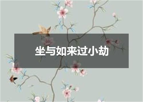 坐与如来过小劫