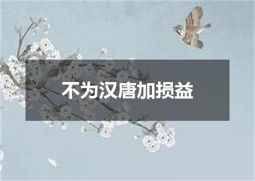 不为汉唐加损益