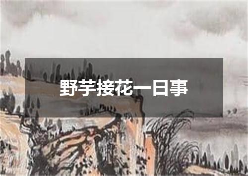 野芋接花一日事