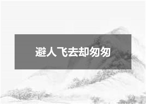 避人飞去却匆匆