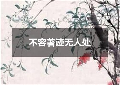 不容著迹无人处