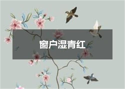窗户湿青红