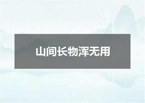 山间长物浑无用