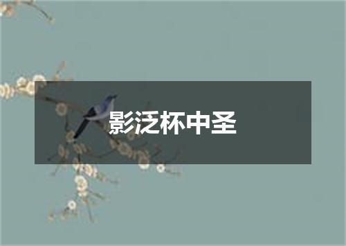 影泛杯中圣