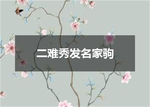 二难秀发名家驹
