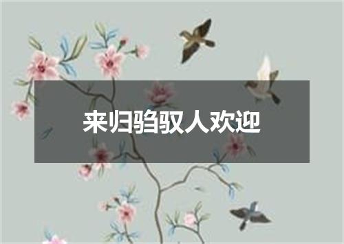 来归驺驭人欢迎