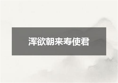 浑欲朝来寿使君