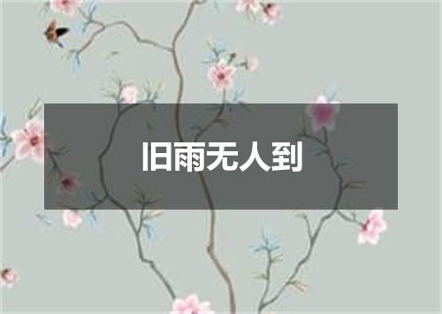 旧雨无人到