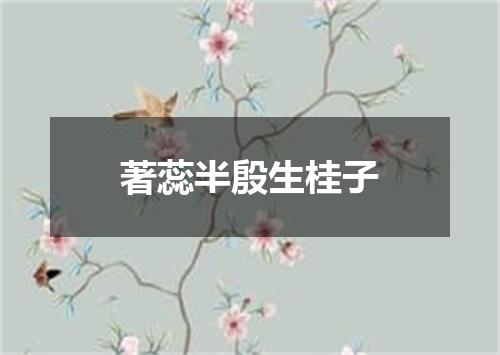著蕊半殷生桂子