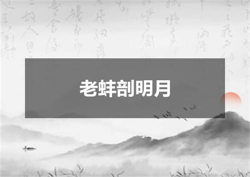 老蚌剖明月