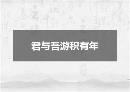 君与吾游积有年