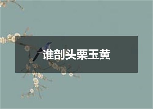 谁剖头栗玉黄