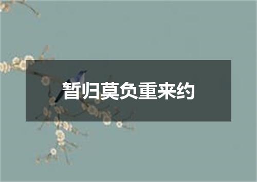 暂归莫负重来约