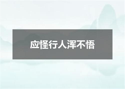 应怪行人浑不悟