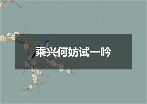 乘兴何妨试一吟