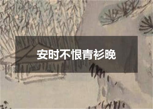 安时不恨青衫晚