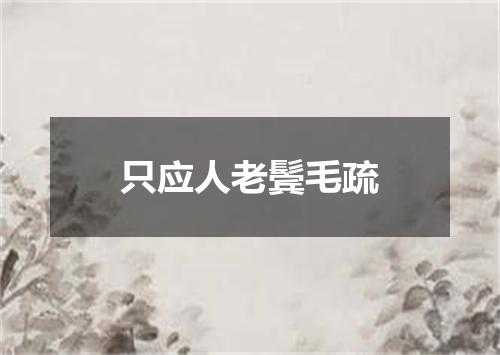 只应人老鬓毛疏