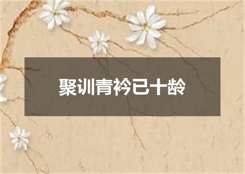 聚训青衿已十龄