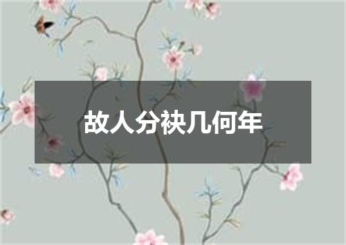 故人分袂几何年