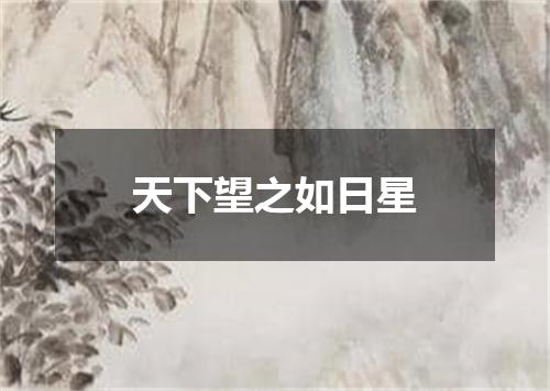 天下望之如日星
