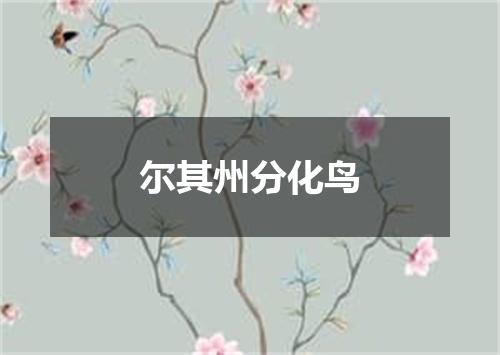 尔其州分化鸟
