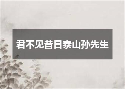 君不见昔日泰山孙先生