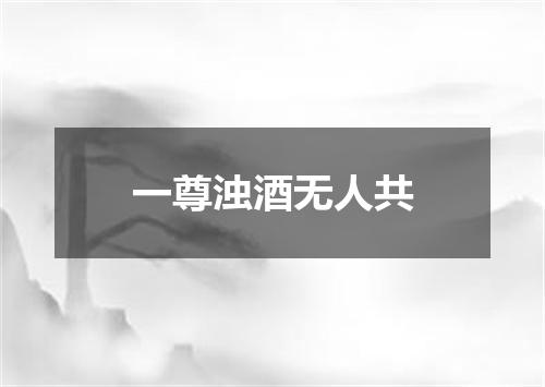 一尊浊酒无人共