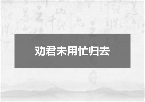 劝君未用忙归去
