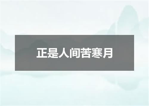 正是人间苦寒月