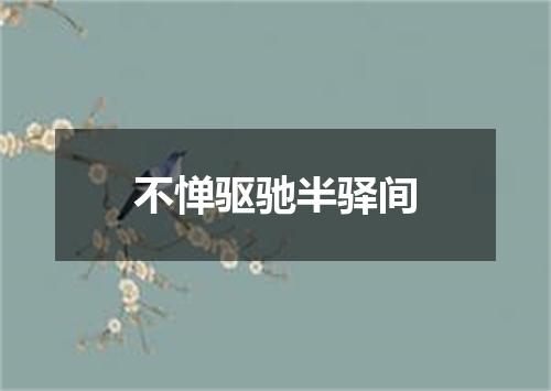 不惮驱驰半驿间