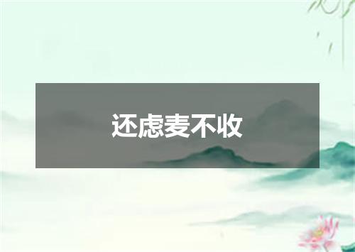 还虑麦不收