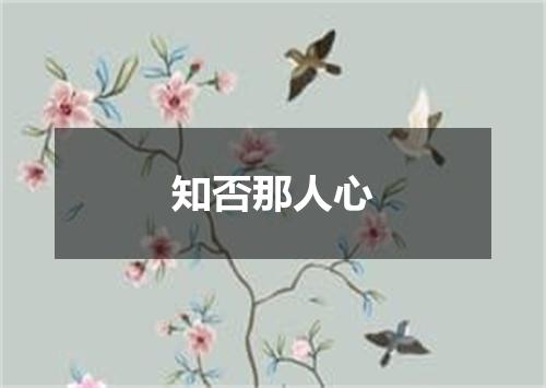 知否那人心