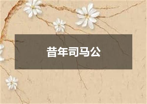昔年司马公
