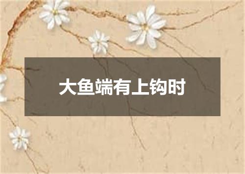 大鱼端有上钩时