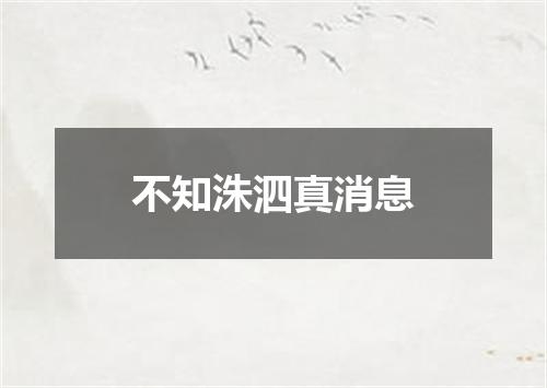 不知洙泗真消息