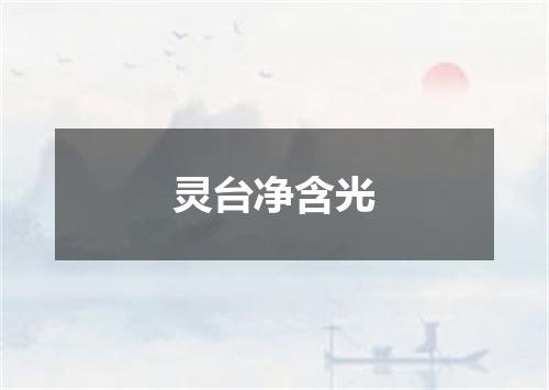 灵台净含光