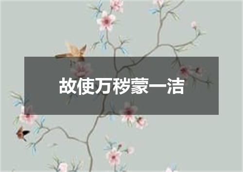 故使万秽蒙一洁