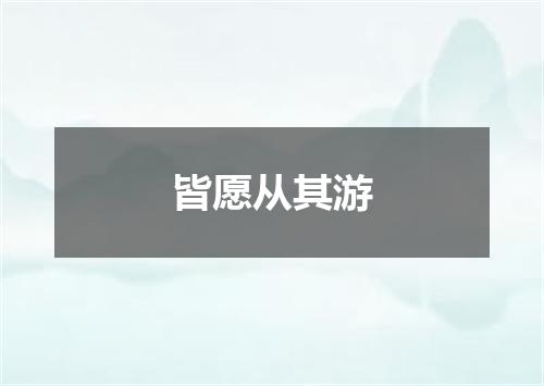 皆愿从其游