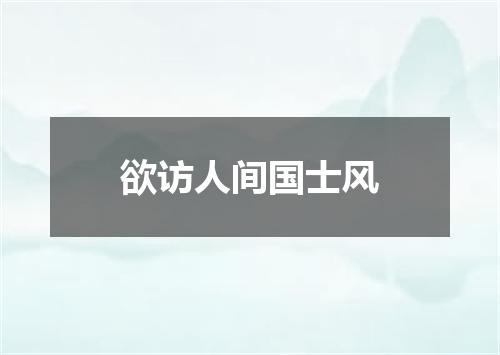 欲访人间国士风