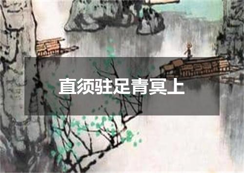 直须驻足青冥上