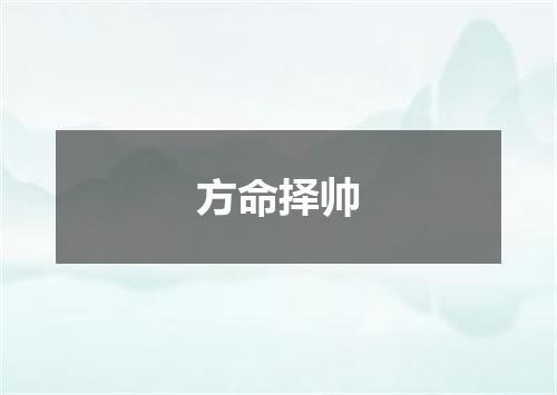 方命择帅