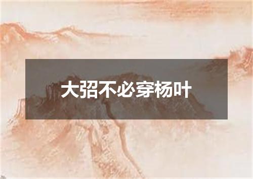 大弨不必穿杨叶