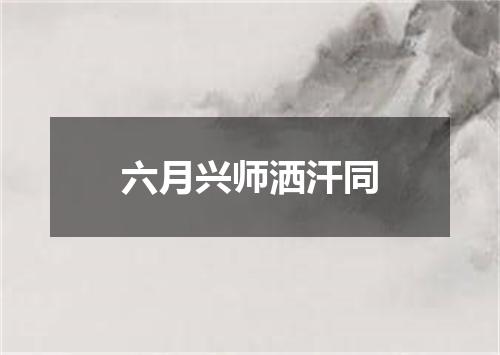 六月兴师洒汗同