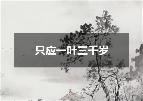 只应一叶三千岁