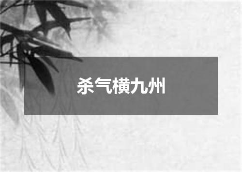 杀气横九州