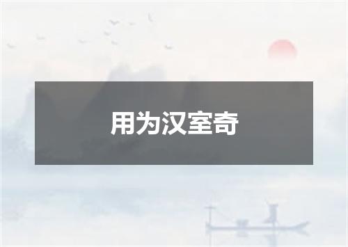 用为汉室奇